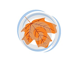 Maple Leaf Fall On The Water creating Ripple Effect Illustration
