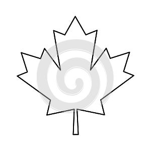 Javor list zelený kanadský nastínit 