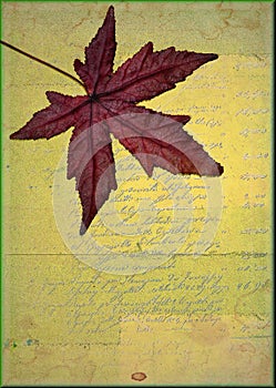 Maple leaf on grunge background