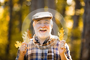 Maple leaf on hiking trail in park. Elderly man smiling outdoors in nature. Healthy active senior man holding a
