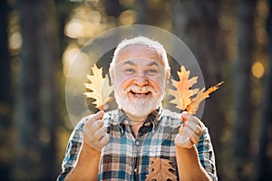 Maple leaf on hiking trail in park. Happy senior man looking at camera. Autumn portrait of grandfather. Elderly old man