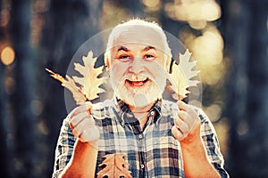 Maple leaf on hiking trail in park. Happy senior man looking at camera. Autumn portrait of grandfather. Elderly old man