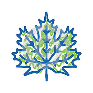 maple leaf icon doodle illustration
