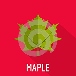 Maple leaf icon, flat style