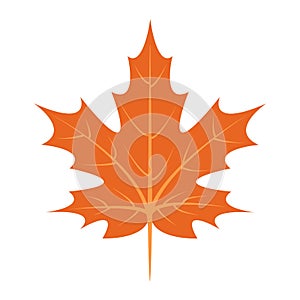 Maple leaf icon, flat style