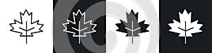 Maple Leaf icon