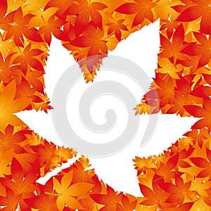 Maple leaf illustration frame background