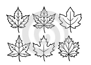 Maple leaf line art design illustration simple beauty
