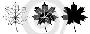 Maple leaf. Linear, silhouette. Vector illustration