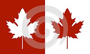 Maple leaf logo. Isolated maple leaf on white background