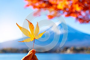 Maple leaf with Mt.fuji background