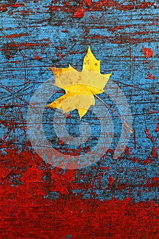 Maple leaf and old paint