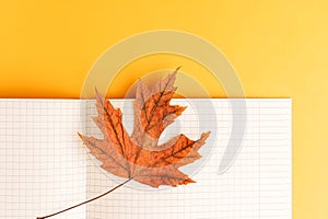 Maple leaf on open squared notebook, orange background