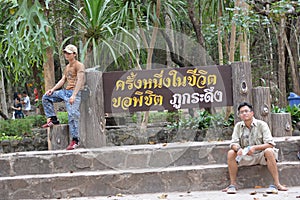 Maple, Leaf, Phukradueng, Loei