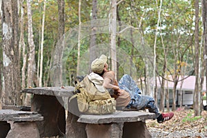 Maple, Leaf, Phukradueng, Loei