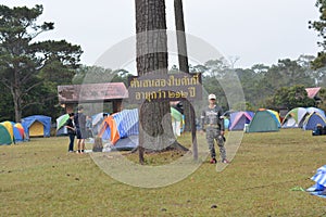 Maple, Leaf, Phukradueng, Loei