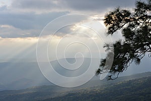 Maple, Leaf, Phukradueng, Loei