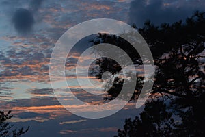 Maple, Leaf, Phukradueng, Loei