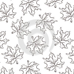 Maple leaf seamless pattern in line art, outline style. Floral background in minimalistic linear, hand drawn style