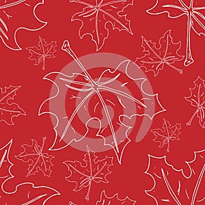 Maple leaf seamless pattern. Vector of a seamless maple leaf pattern. Hand drawn maple leaf