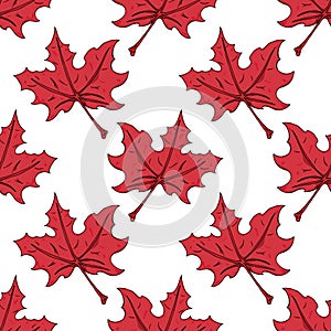 Maple leaf seamless pattern. Vector of a seamless maple leaf pattern. Hand drawn maple leaf