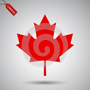 Maple leaf vector icon. Canada vector symbol maple leaf clip art