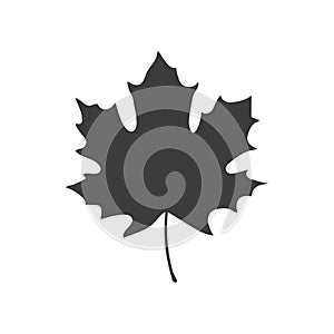 Maple leaf vector icon design. Vector illustration.