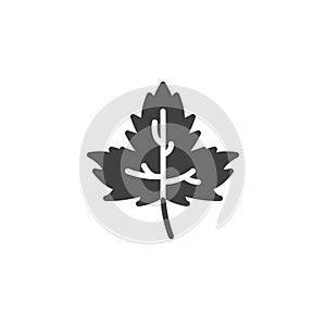 Maple leaf vector icon