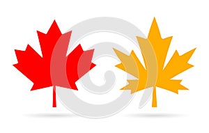 Maple leaf vector icon