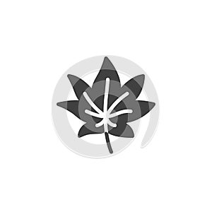 Maple leaf vector icon