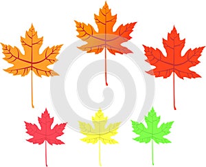 Maple leaf - vector icons