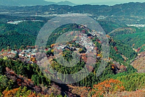 Maple leafs in Mount Yoshino photo