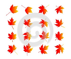maple leafs Silhouette on isolated background. Vector drawing
