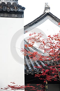 Maple leaves and Chinese Ancient Architectural photo