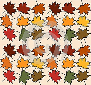 Maple leaves of different colors seamless pattern texture. Autumn maple tree leaf, vector