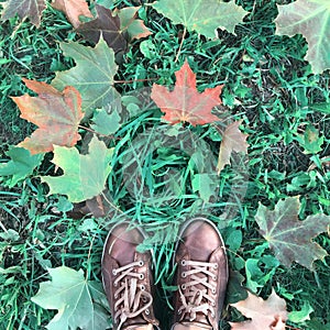 Maple leaves fallen in autumn and female legs in boots, top view