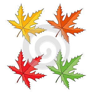 Maple leaves icon set isolated on white. Seasonal clipart in vivid colors. Yellow, orange, red, green, colours. Autumn vector