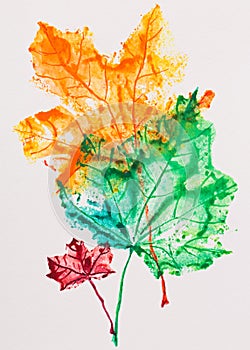 Maple leaves imprint photo