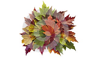 Maple Leaves Mixed Fall Colors Autumn Wreath