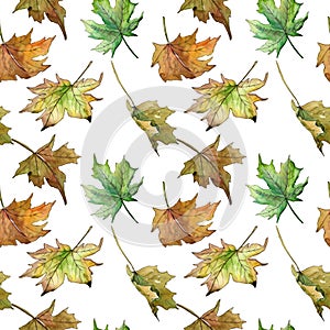 Maple leaves pattern in a watercolor style.