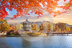 Maple leaves with pavilion old traditional at Gyeongbokgung palace, Seoul, South Korea.