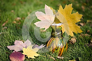 Maple leaves in a vase on green grass