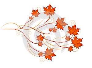 Maple leaves vector, autumn theme with branches and swirls