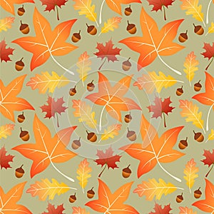 Maple and oak leaves with acorns seamless pattern