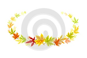 Maple Palmate Leaves of Bright Autumn Colour Arranged in Decorative Border Line Vector Illustration