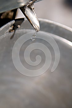 Maple sap bucket and spigot