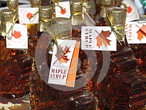 Maple Syrup photo