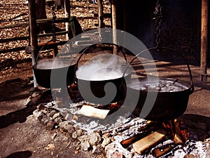 Maple syrup distillery