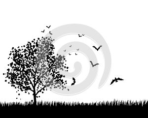 Maple Tree With Bats