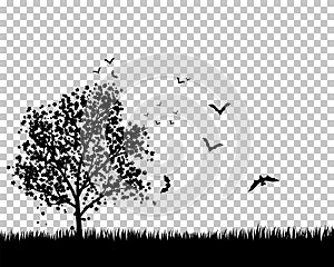 Maple Tree With Bats